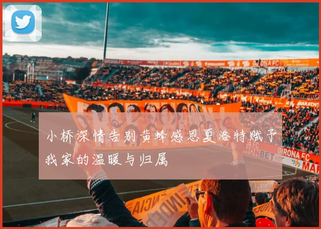 小桥深情告别黄蜂感恩夏洛特赋予我家的温暖与归属