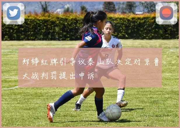 郑铮红牌引争议泰山队决定对京鲁大战判罚提出申诉