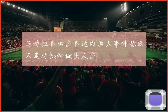 马特拉齐回应齐达内顶人事件称我只是对挑衅做出反应
