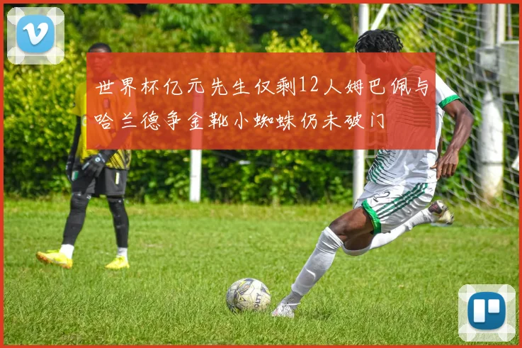世界杯亿元先生仅剩12人姆巴佩与哈兰德争金靴小蜘蛛仍未破门